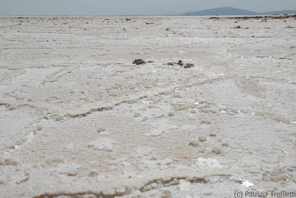 The thick salt crust residue of an ancient sea which once covered the entire region